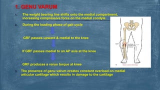 knee joint biomechanics 2nd BPTH Kinesiology | PPTX