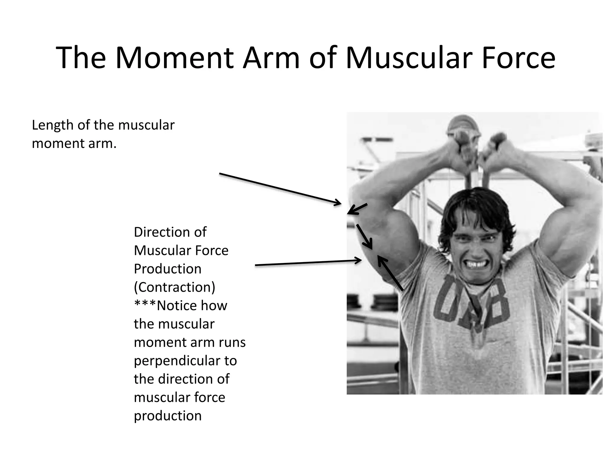 Biomechanics for Strength Training | PPTX
