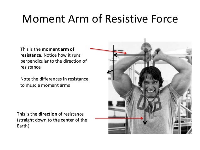 Biomechanics For Strength Training