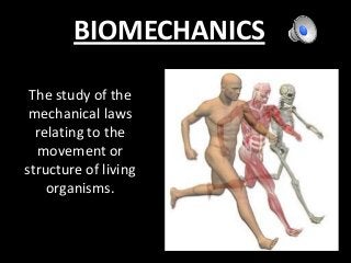 BIOMECHANICS
The study of the
mechanical laws
relating to the
movement or
structure of living
organisms.
 