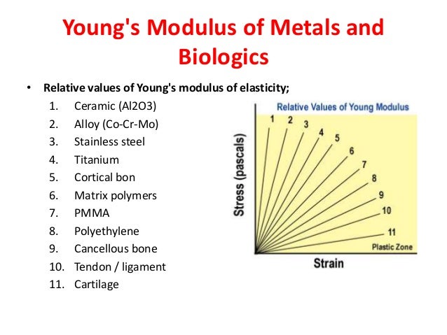 plastic elastic modulus material Biomechanics plastic elastic modulus material Biomechanics