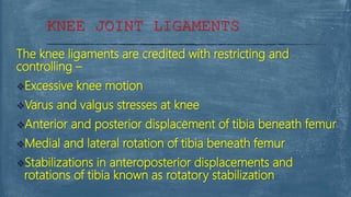 The knee ligaments are credited with restricting and
controlling –
Excessive knee motion
Varus and valgus stresses at knee
Anterior and posterior displacement of tibia beneath femur
Medial and lateral rotation of tibia beneath femur
Stabilizations in anteroposterior displacements and
rotations of tibia known as rotatory stabilization
KNEE JOINT LIGAMENTS
 