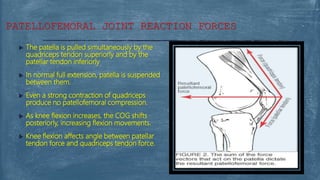  The patella is pulled simultaneously by the
quadriceps tendon superiorly and by the
patellar tendon inferiorly
 In normal full extension, patella is suspended
between them.
 Even a strong contraction of quadriceps
produce no patellofemoral compression.
 As knee flexion increases, the COG shifts
posteriorly, increasing flexion movements.
 Knee flexion affects angle between patellar
tendon force and quadriceps tendon force.
PATELLOFEMORAL JOINT REACTION FORCES
 