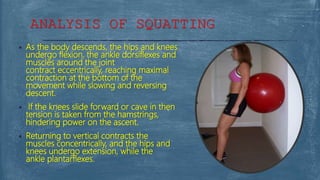  As the body descends, the hips and knees
undergo flexion, the ankle dorsiflexes and
muscles around the joint
contract eccentrically, reaching maximal
contraction at the bottom of the
movement while slowing and reversing
descent.
 If the knees slide forward or cave in then
tension is taken from the hamstrings,
hindering power on the ascent.
 Returning to vertical contracts the
muscles concentrically, and the hips and
knees undergo extension, while the
ankle plantarflexes.
ANALYSIS OF SQUATTING
 