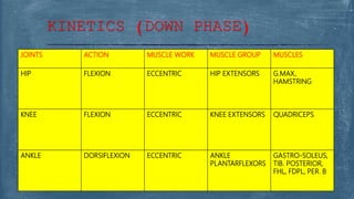 JOINTS ACTION MUSCLE WORK MUSCLE GROUP MUSCLES
HIP FLEXION ECCENTRIC HIP EXTENSORS G.MAX,
HAMSTRING
KNEE FLEXION ECCENTRIC KNEE EXTENSORS QUADRICEPS
ANKLE DORSIFLEXION ECCENTRIC ANKLE
PLANTARFLEXORS
GASTRO-SOLEUS,
TIB. POSTERIOR,
FHL, FDPL, PER. B
KINETICS (DOWN PHASE)
 
