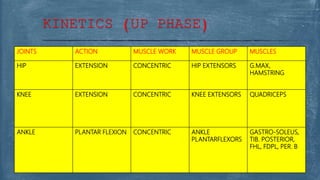 JOINTS ACTION MUSCLE WORK MUSCLE GROUP MUSCLES
HIP EXTENSION CONCENTRIC HIP EXTENSORS G.MAX,
HAMSTRING
KNEE EXTENSION CONCENTRIC KNEE EXTENSORS QUADRICEPS
ANKLE PLANTAR FLEXION CONCENTRIC ANKLE
PLANTARFLEXORS
GASTRO-SOLEUS,
TIB. POSTERIOR,
FHL, FDPL, PER. B
KINETICS (UP PHASE)
 