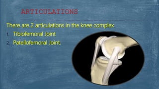 There are 2 articulations in the knee complex
1. Tibiofemoral Joint
2. Patellofemoral Joint.
ARTICULATIONS
 
