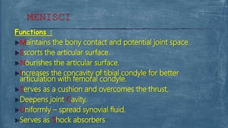 Functions :
Maintains the bony contact and potential joint space.
Escorts the articular surface.
Nourishes the articular surface.
Increases the concavity of tibial condyle for better
articulation with femoral condyle.
Serves as a cushion and overcomes the thrust.
Deepens joint Cavity.
Uniformly – spread synovial fluid.
Serves as Shock absorbers
MENISCI
 