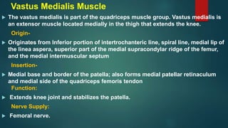 Vastus Medialis Muscle
 The vastus medialis is part of the quadriceps muscle group. Vastus medialis is
an extensor muscle located medially in the thigh that extends the knee.
Origin-
 Originates from Inferior portion of intertrochanteric line, spiral line, medial lip of
the linea aspera, superior part of the medial supracondylar ridge of the femur,
and the medial intermuscular septum
Insertion-
 Medial base and border of the patella; also forms medial patellar retinaculum
and medial side of the quadriceps femoris tendon
Function:
 Extends knee joint and stabilizes the patella.
Nerve Supply:
 Femoral nerve.
 
