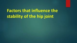 Factors that influence the
stability of the hip joint
 