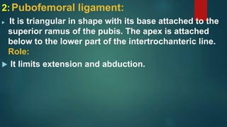 2:Pubofemoral ligament:
 It is triangular in shape with its base attached to the
superior ramus of the pubis. The apex is attached
below to the lower part of the intertrochanteric line.
Role:
 It limits extension and abduction.
 