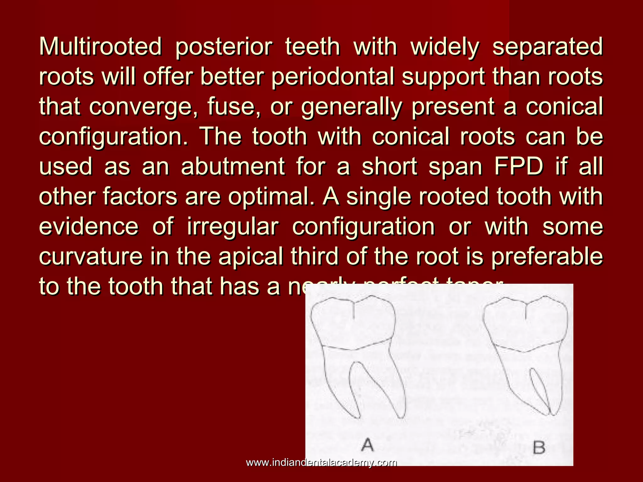 Multirooted posterior teeth with widely separated
roots will offer better periodontal support than roots
that converge, fuse, or generally present a conical
configuration. The tooth with conical roots can be
used as an abutment for a short span FPD if all
other factors are optimal. A single rooted tooth with
evidence of irregular configuration or with some
curvature in the apical third of the root is preferable
to the tooth that has a nearly perfect taper.

www.indiandentalacademy.com

 