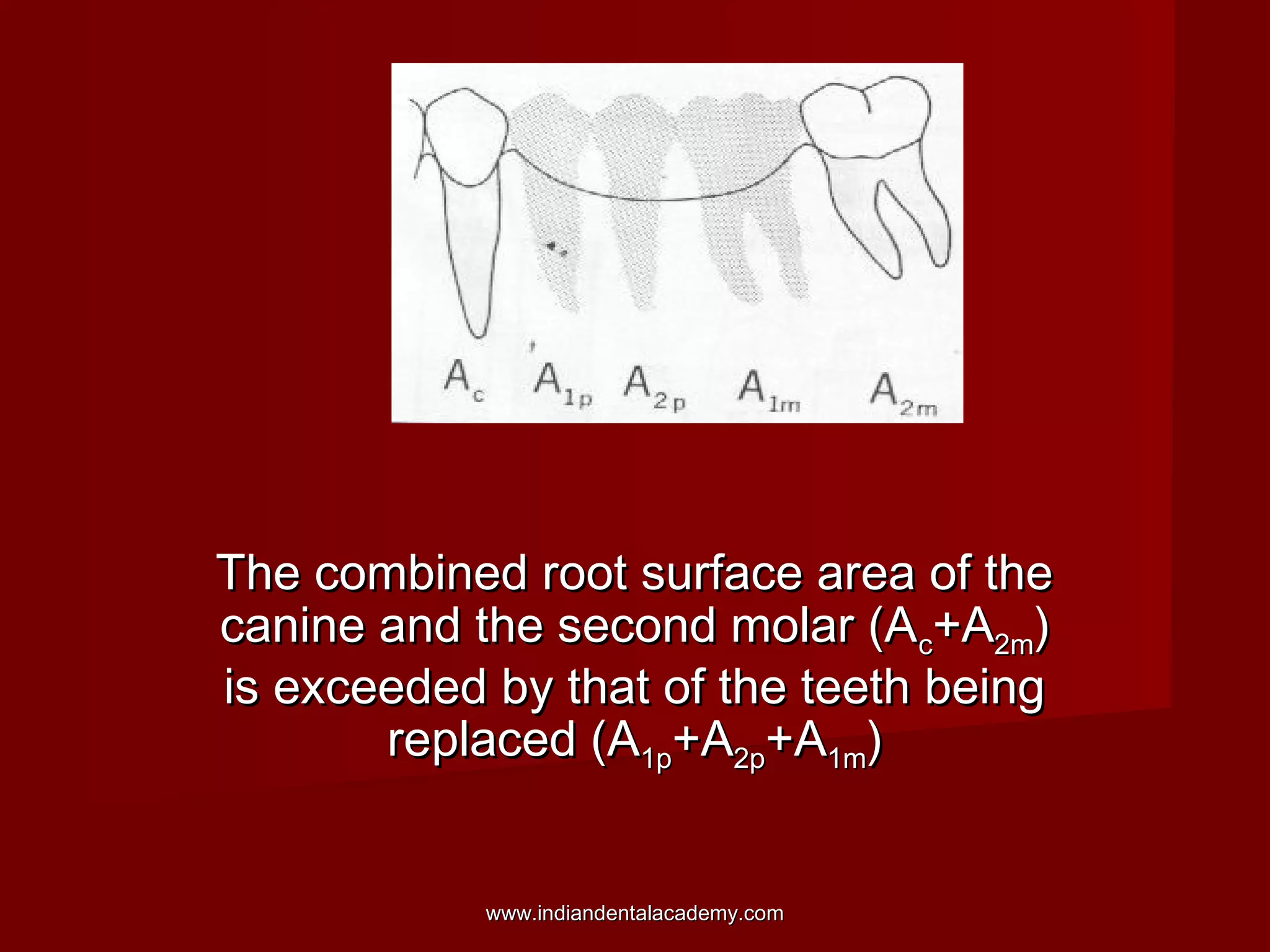 The combined root surface area of the
canine and the second molar (Ac+A2m)
is exceeded by that of the teeth being
replaced (A1p+A2p+A1m)
www.indiandentalacademy.com

 