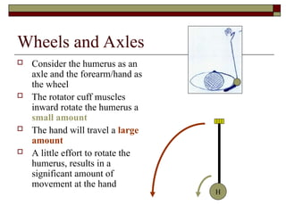 Biomechanics Introduction Powerpoint Slides | PPT