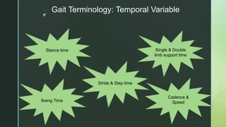 z
Gait Terminology: Temporal Variable
Stance time
Stride & Step time
Swing Time
Cadence &
Speed
Single & Double
limb support time
 