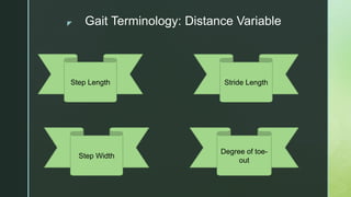 z Gait Terminology: Distance Variable
Step Length
Degree of toe-
out
Step Width
Stride Length
 