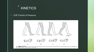 z
KINETICS
 COP (Centre of Pressure)
 