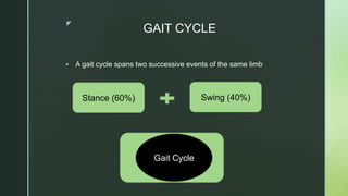 z
GAIT CYCLE
 A gait cycle spans two successive events of the same limb
Stance (60%) Swing (40%)
Gait Cycle
 