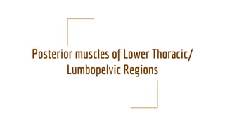 Posterior muscles of Lower Thoracic/
Lumbopelvic Regions
 
