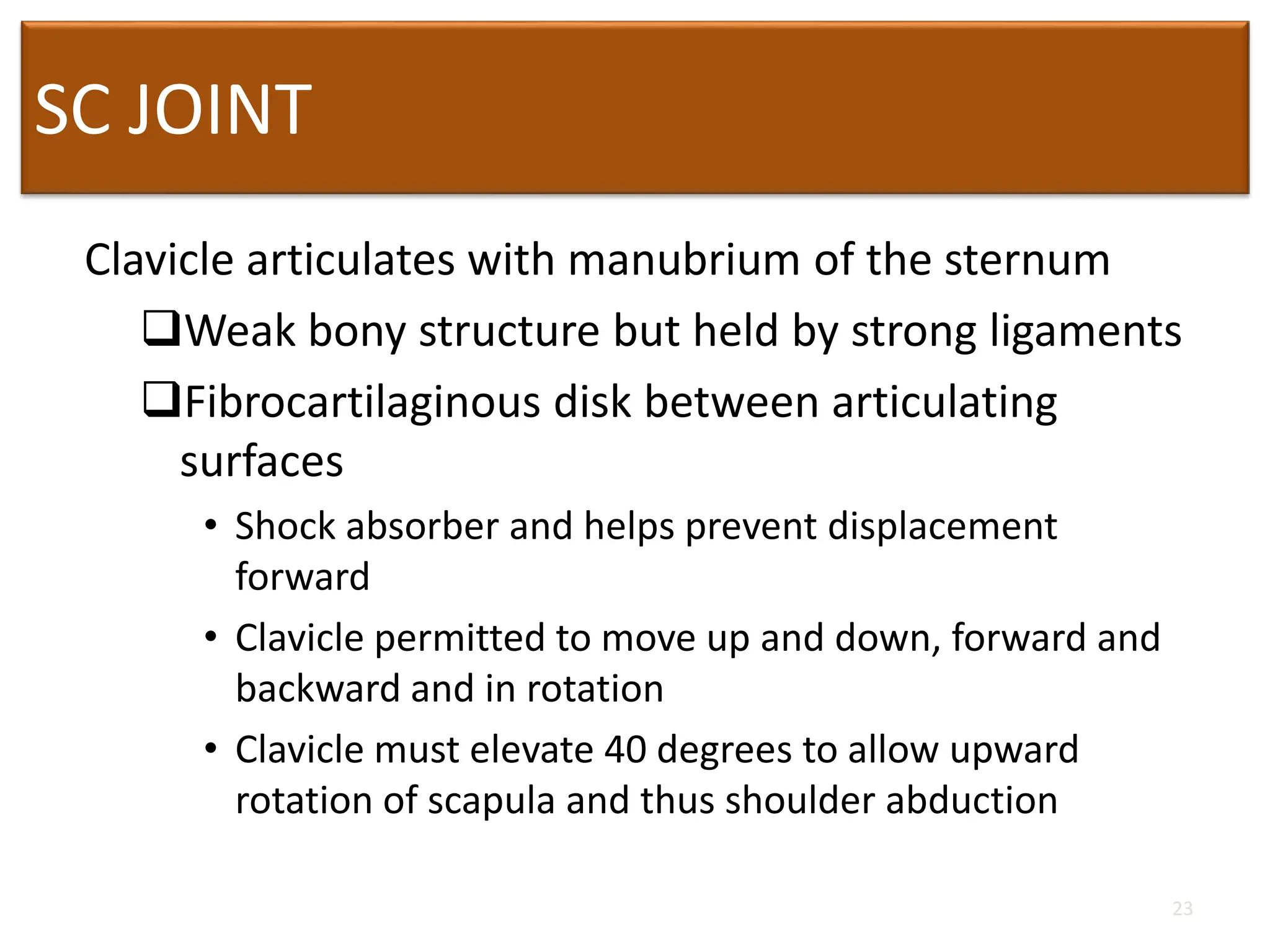 SC JOINT
Clavicle articulates with manubrium of the sternum
Weak bony structure but held by strong ligaments
Fibrocartilaginous disk between articulating
surfaces
• Shock absorber and helps prevent displacement
forward
• Clavicle permitted to move up and down, forward and
backward and in rotation
• Clavicle must elevate 40 degrees to allow upward
rotation of scapula and thus shoulder abduction
23
 