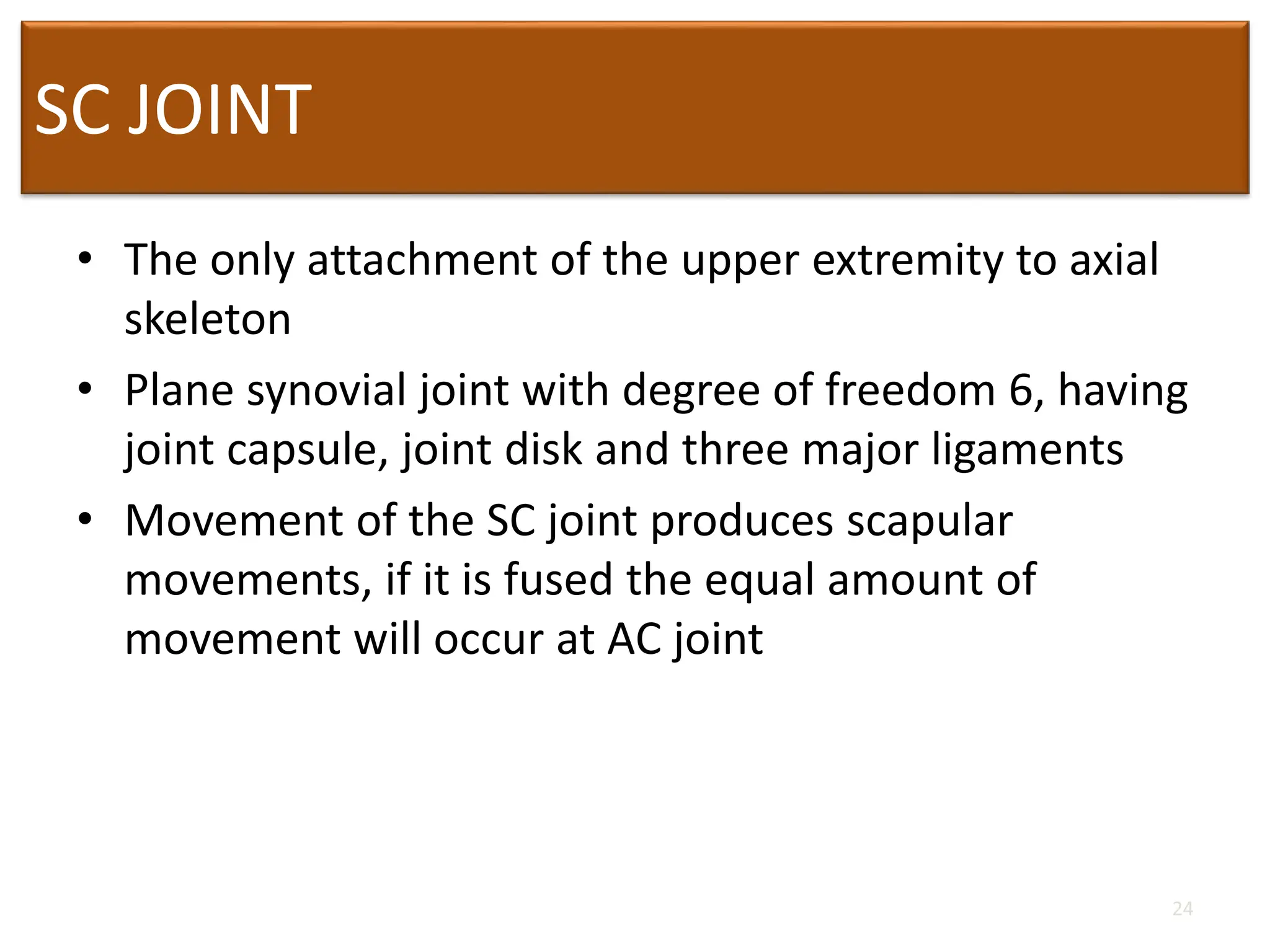 SC JOINT
• The only attachment of the upper extremity to axial
skeleton
• Plane synovial joint with degree of freedom 6, having
joint capsule, joint disk and three major ligaments
• Movement of the SC joint produces scapular
movements, if it is fused the equal amount of
movement will occur at AC joint
24
 