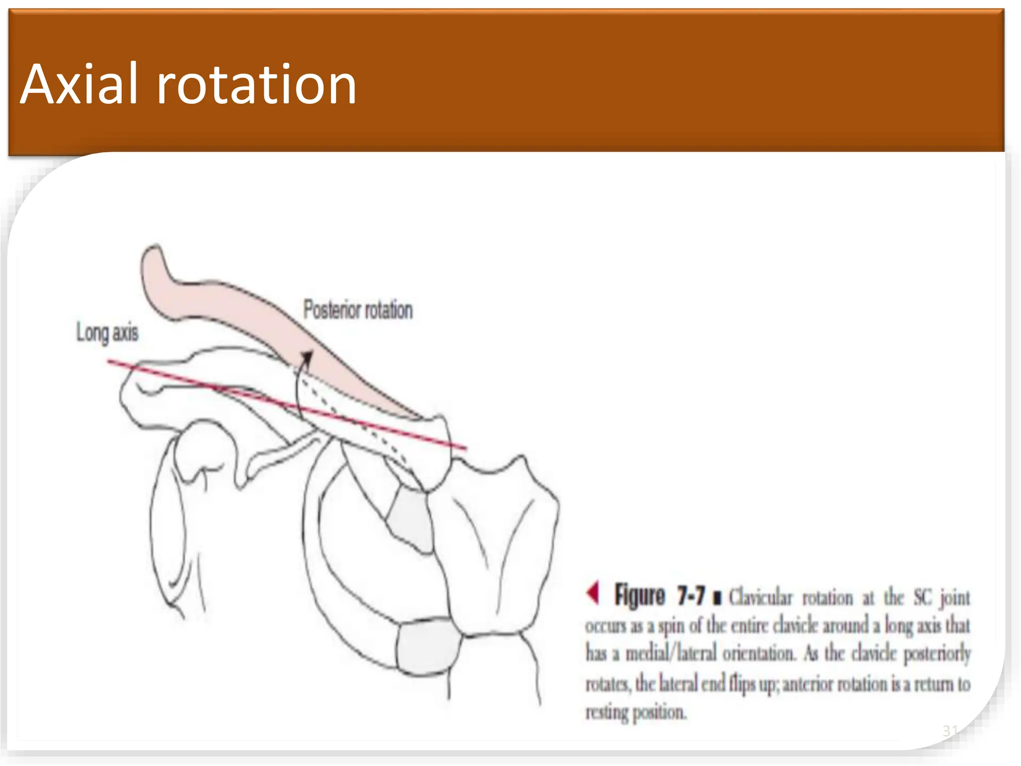 Axial rotation
31
 