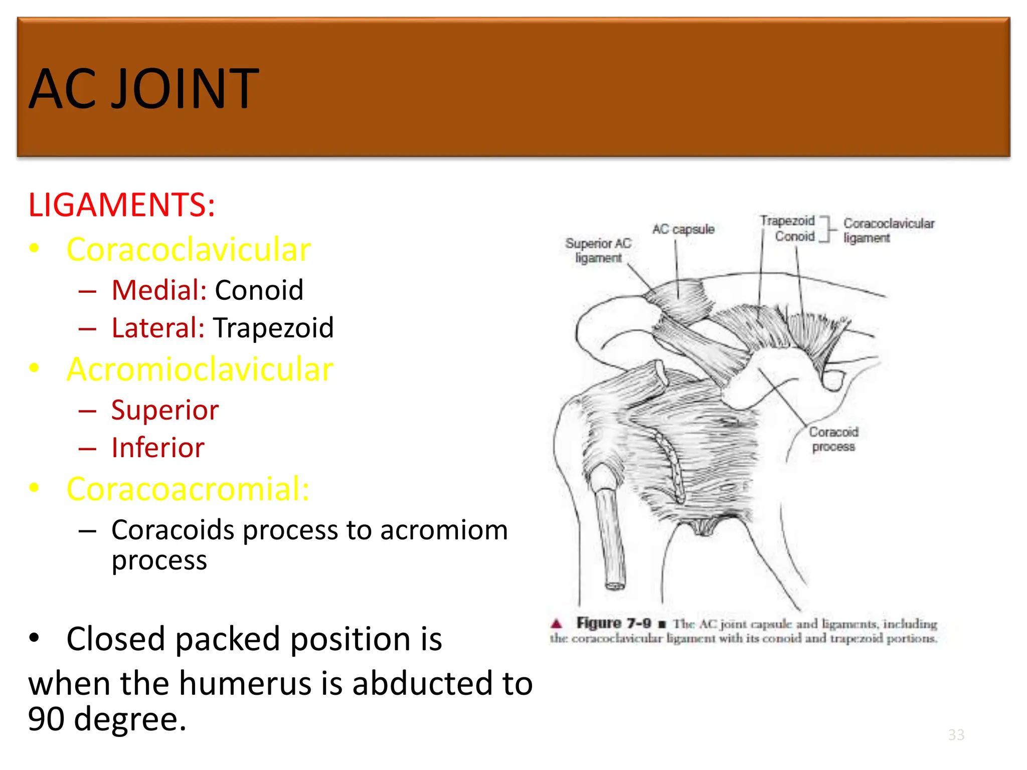 AC JOINT
LIGAMENTS:
• Coracoclavicular
– Medial: Conoid
– Lateral: Trapezoid
• Acromioclavicular
– Superior
– Inferior
• Coracoacromial:
– Coracoids process to acromiom
process
• Closed packed position is
when the humerus is abducted to
90 degree. 33
 
