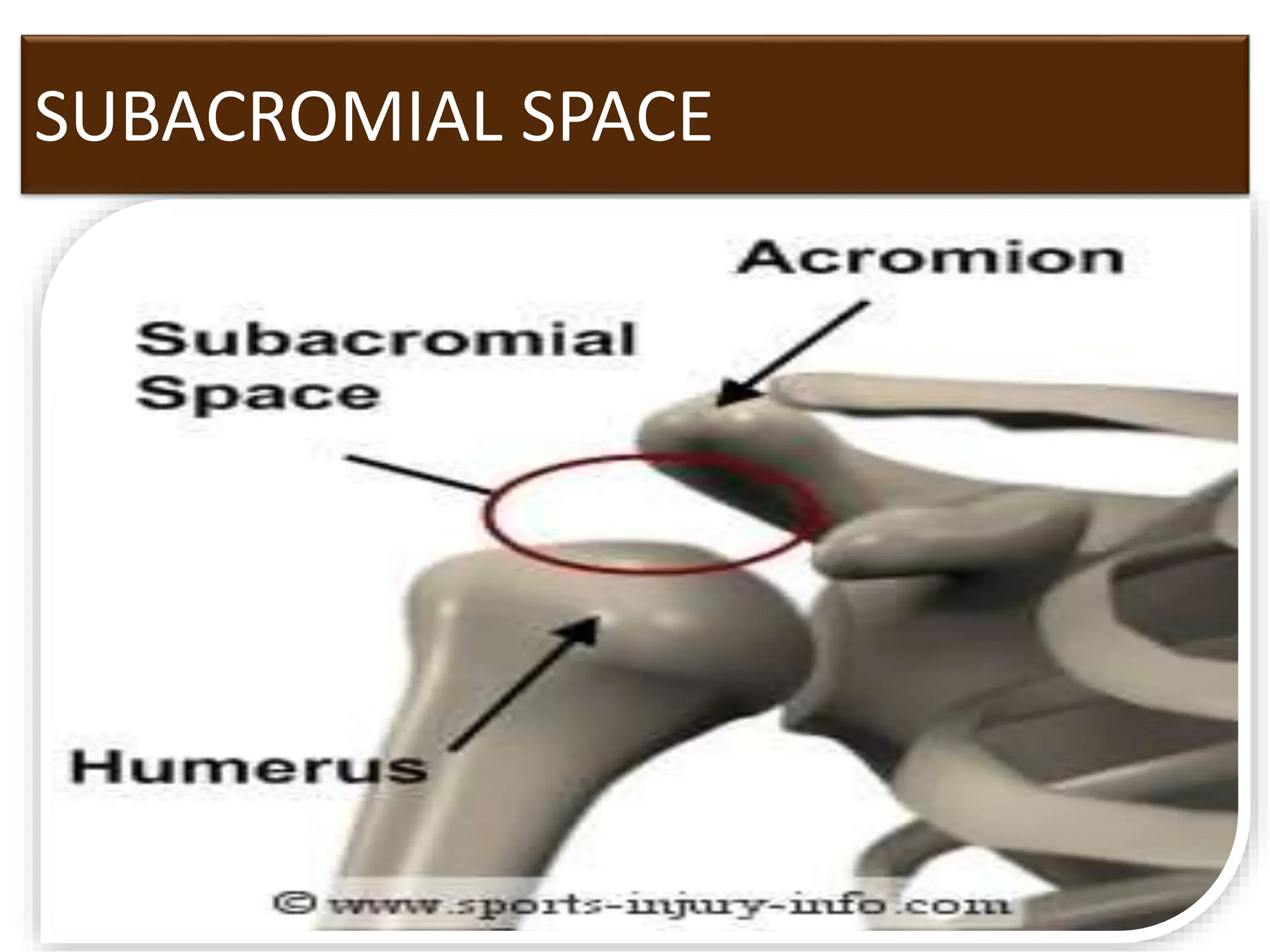 SUBACROMIAL SPACE
39
 