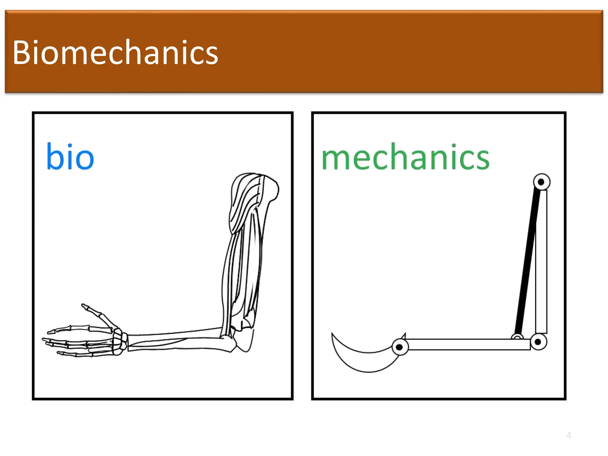 Biomechanics
4
 