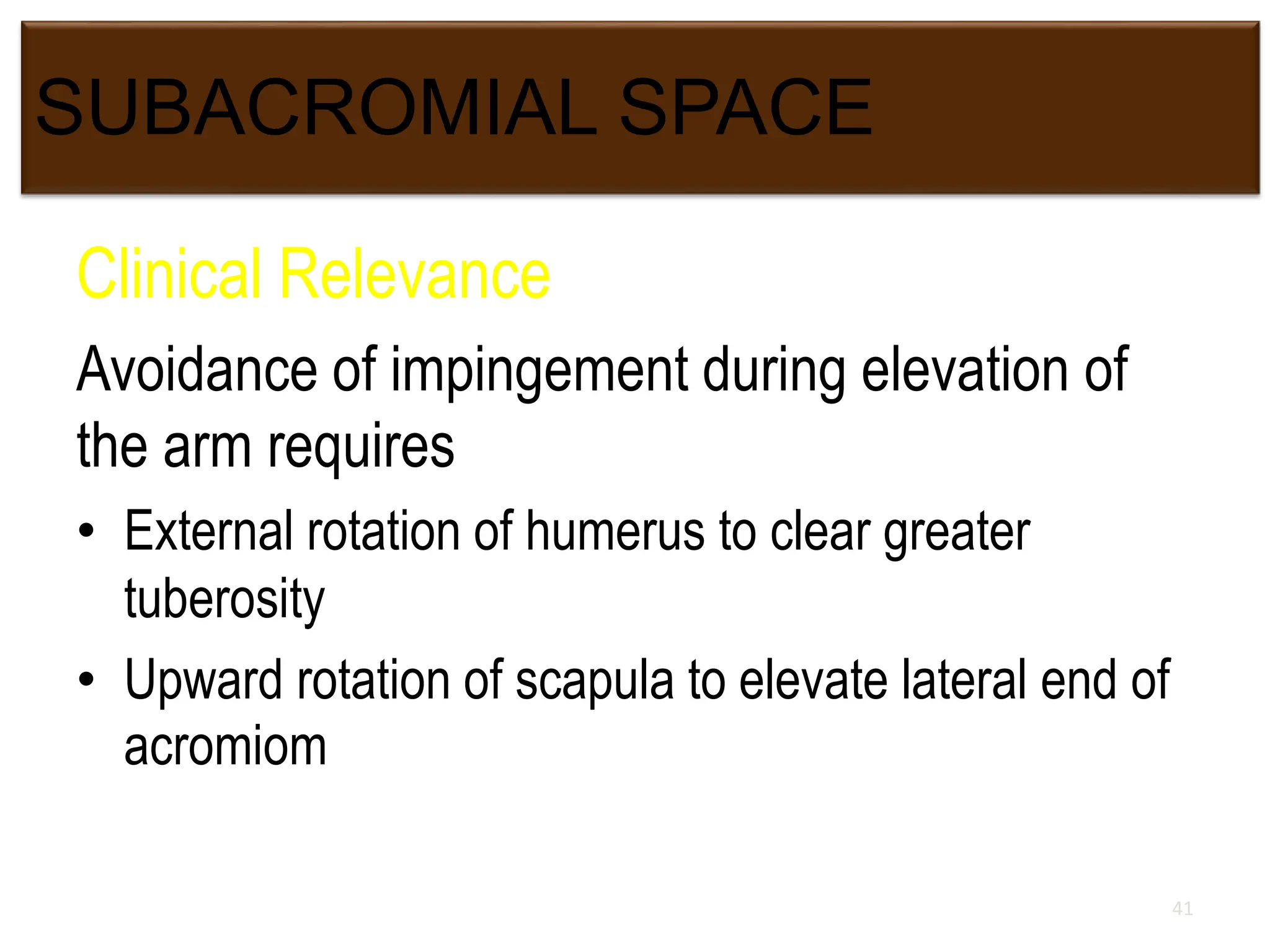 SUBACROMIAL SPACE
Clinical Relevance
Avoidance of impingement during elevation of
the arm requires
• External rotation of humerus to clear greater
tuberosity
• Upward rotation of scapula to elevate lateral end of
acromiom
41
 
