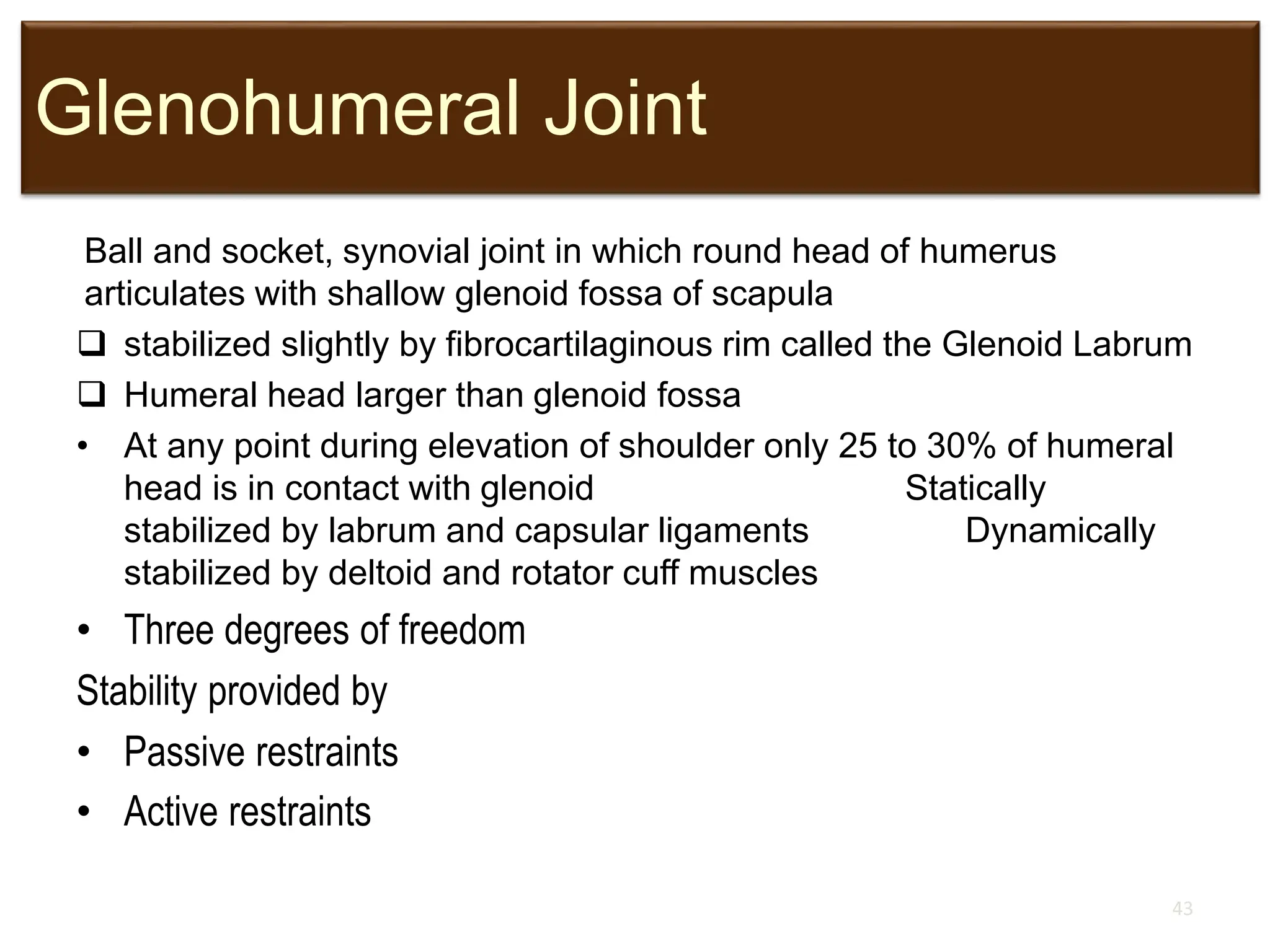 Glenohumeral Joint
Ball and socket, synovial joint in which round head of humerus
articulates with shallow glenoid fossa of scapula
 stabilized slightly by fibrocartilaginous rim called the Glenoid Labrum
 Humeral head larger than glenoid fossa
• At any point during elevation of shoulder only 25 to 30% of humeral
head is in contact with glenoid Statically
stabilized by labrum and capsular ligaments Dynamically
stabilized by deltoid and rotator cuff muscles
• Three degrees of freedom
Stability provided by
• Passive restraints
• Active restraints
43
 