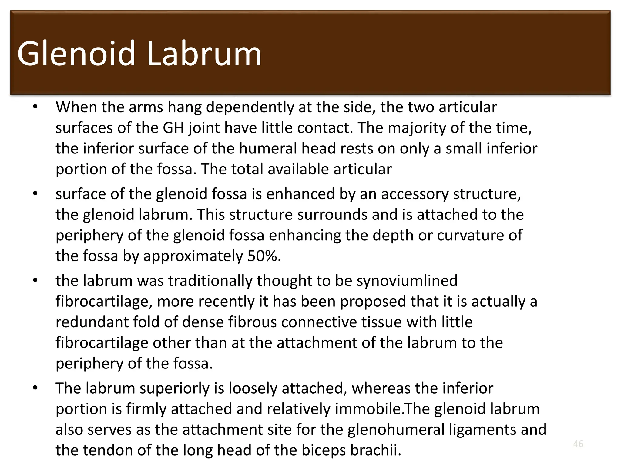 Glenoid Labrum
• When the arms hang dependently at the side, the two articular
surfaces of the GH joint have little contact. The majority of the time,
the inferior surface of the humeral head rests on only a small inferior
portion of the fossa. The total available articular
• surface of the glenoid fossa is enhanced by an accessory structure,
the glenoid labrum. This structure surrounds and is attached to the
periphery of the glenoid fossa enhancing the depth or curvature of
the fossa by approximately 50%.
• the labrum was traditionally thought to be synoviumlined
fibrocartilage, more recently it has been proposed that it is actually a
redundant fold of dense fibrous connective tissue with little
fibrocartilage other than at the attachment of the labrum to the
periphery of the fossa.
• The labrum superiorly is loosely attached, whereas the inferior
portion is firmly attached and relatively immobile.The glenoid labrum
also serves as the attachment site for the glenohumeral ligaments and
the tendon of the long head of the biceps brachii. 46
 