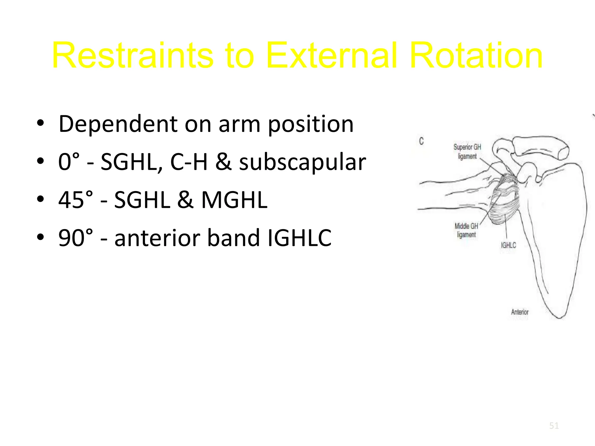 Restraints to External Rotation
• Dependent on arm position
• 0° - SGHL, C-H & subscapular
• 45° - SGHL & MGHL
• 90° - anterior band IGHLC
51
 