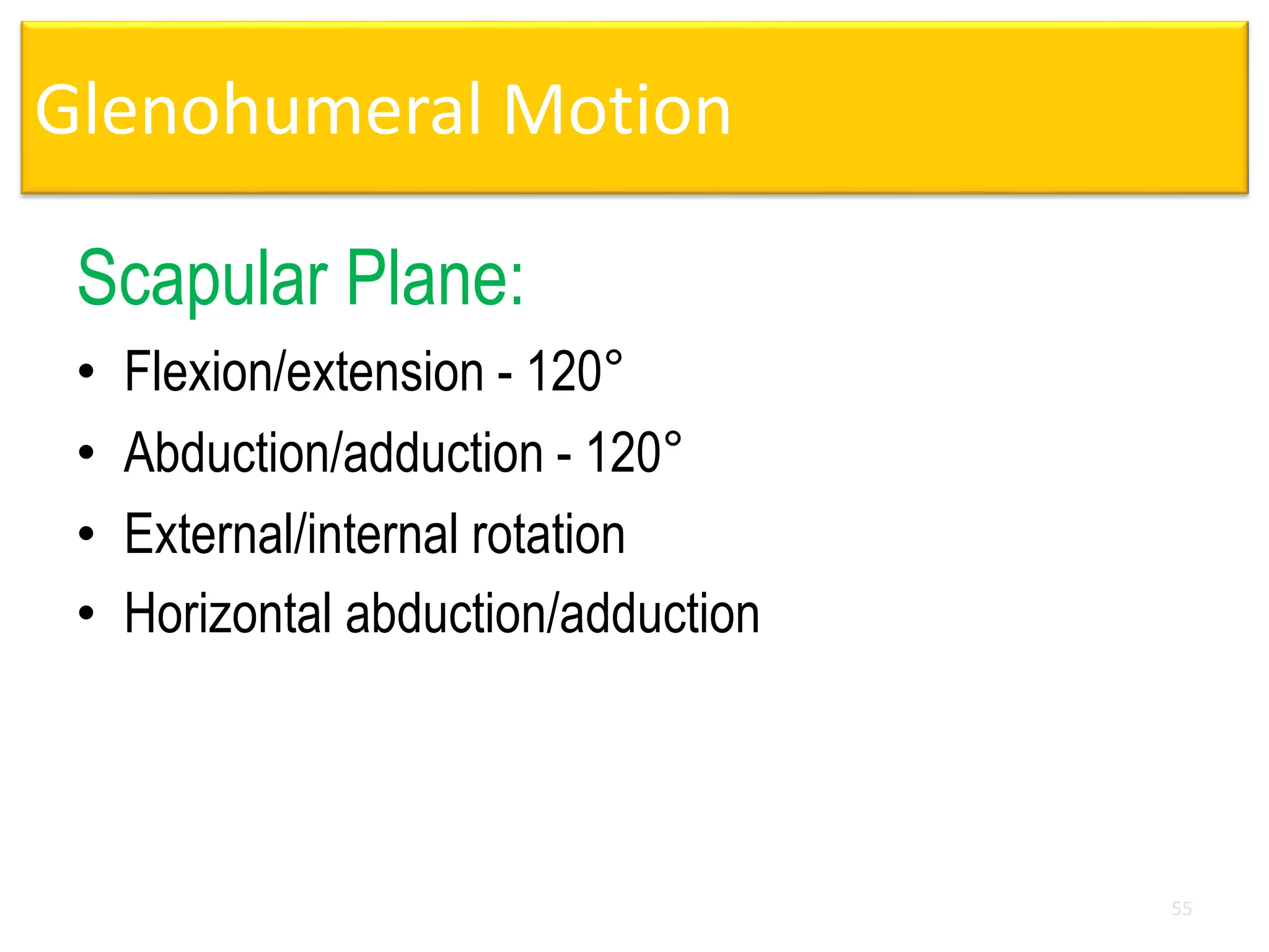 Glenohumeral Motion
Scapular Plane:
• Flexion/extension - 120°
• Abduction/adduction - 120°
• External/internal rotation
• Horizontal abduction/adduction
55
 