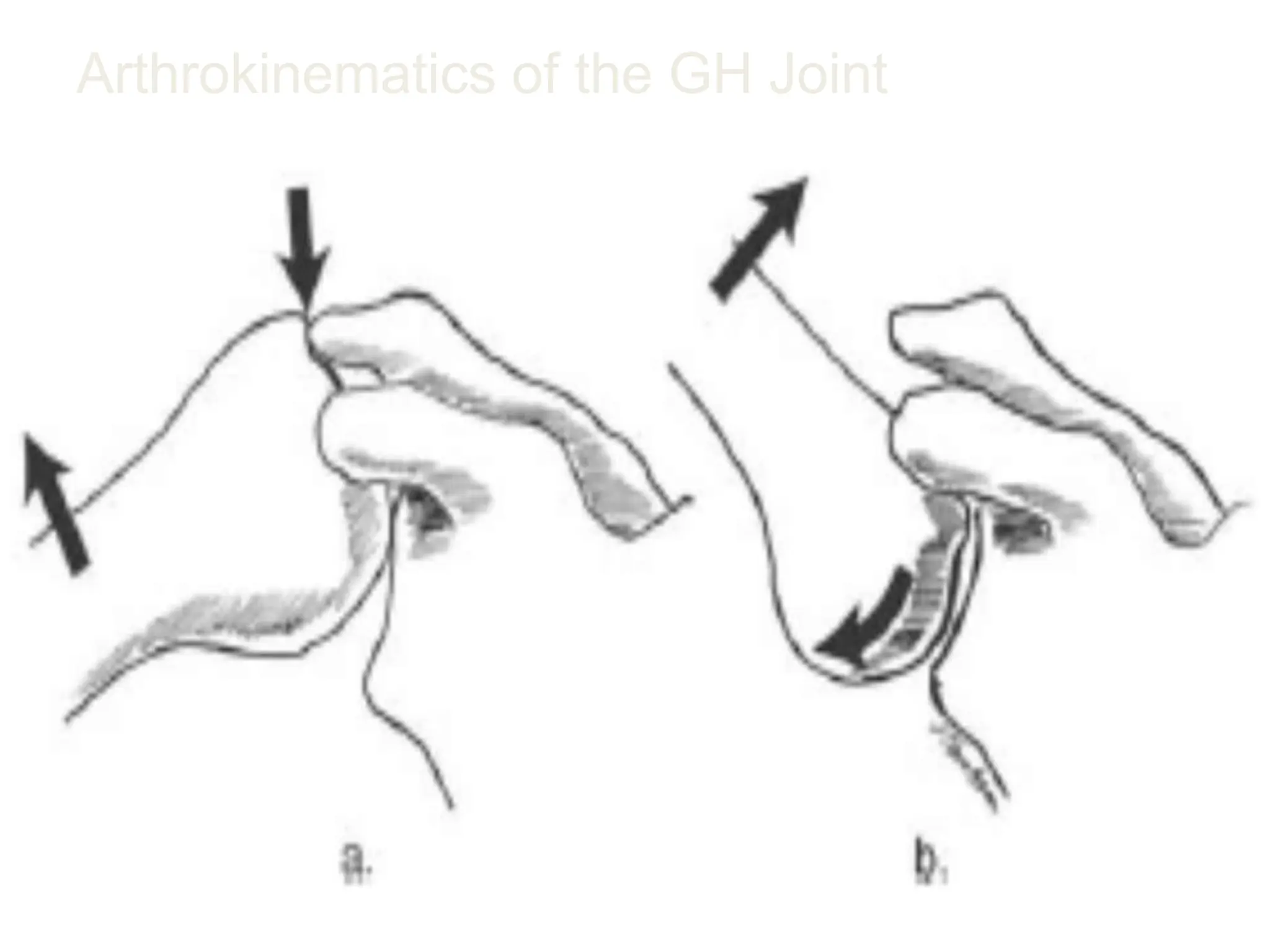 Arthrokinematics of the GH Joint
56
 