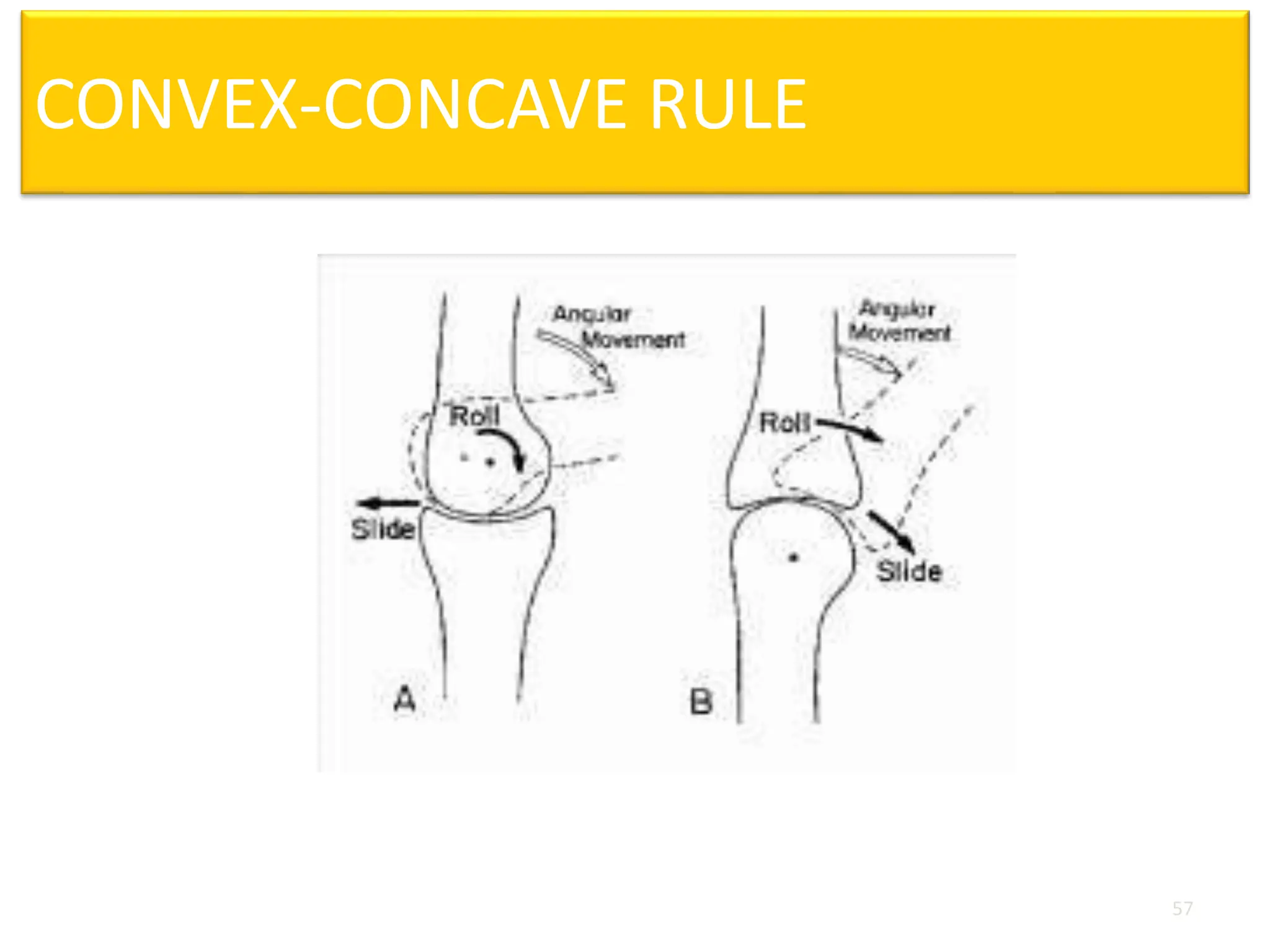 CONVEX-CONCAVE RULE
57
 