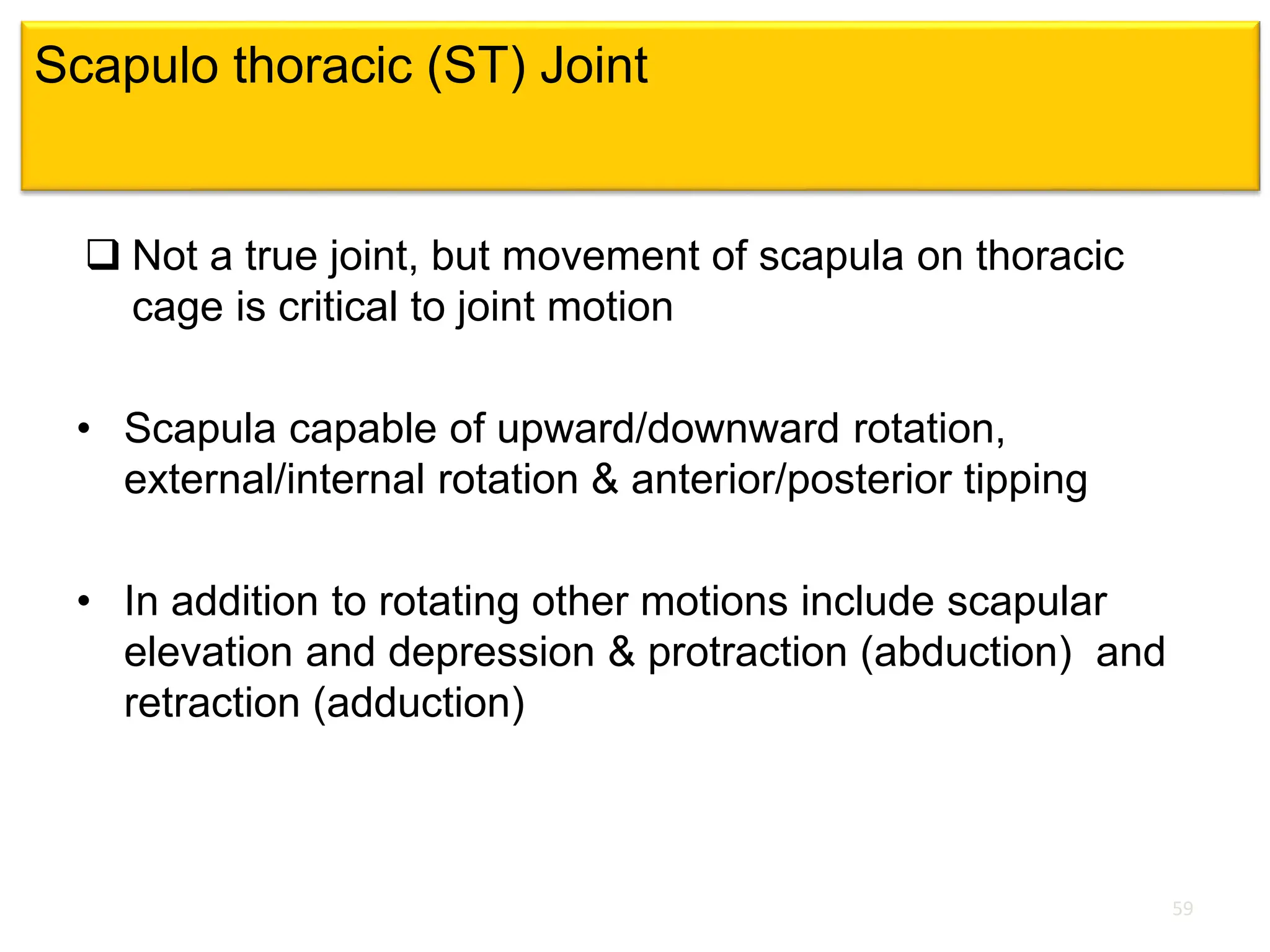 Scapulo thoracic (ST) Joint
 Not a true joint, but movement of scapula on thoracic
cage is critical to joint motion
• Scapula capable of upward/downward rotation,
external/internal rotation & anterior/posterior tipping
• In addition to rotating other motions include scapular
elevation and depression & protraction (abduction) and
retraction (adduction)
59
 