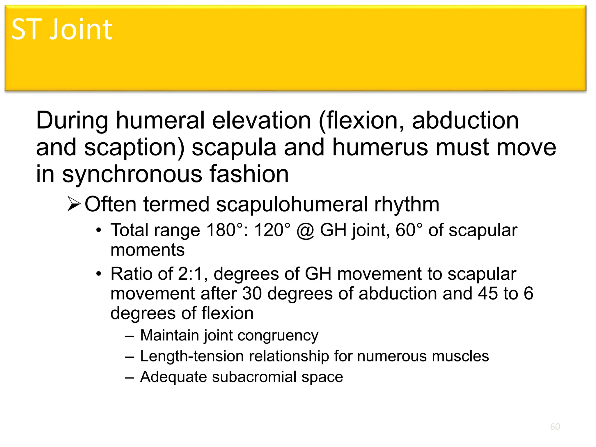 ST Joint
During humeral elevation (flexion, abduction
and scaption) scapula and humerus must move
in synchronous fashion
Often termed scapulohumeral rhythm
• Total range 180°: 120° @ GH joint, 60° of scapular
moments
• Ratio of 2:1, degrees of GH movement to scapular
movement after 30 degrees of abduction and 45 to 6
degrees of flexion
– Maintain joint congruency
– Length-tension relationship for numerous muscles
– Adequate subacromial space
60
 