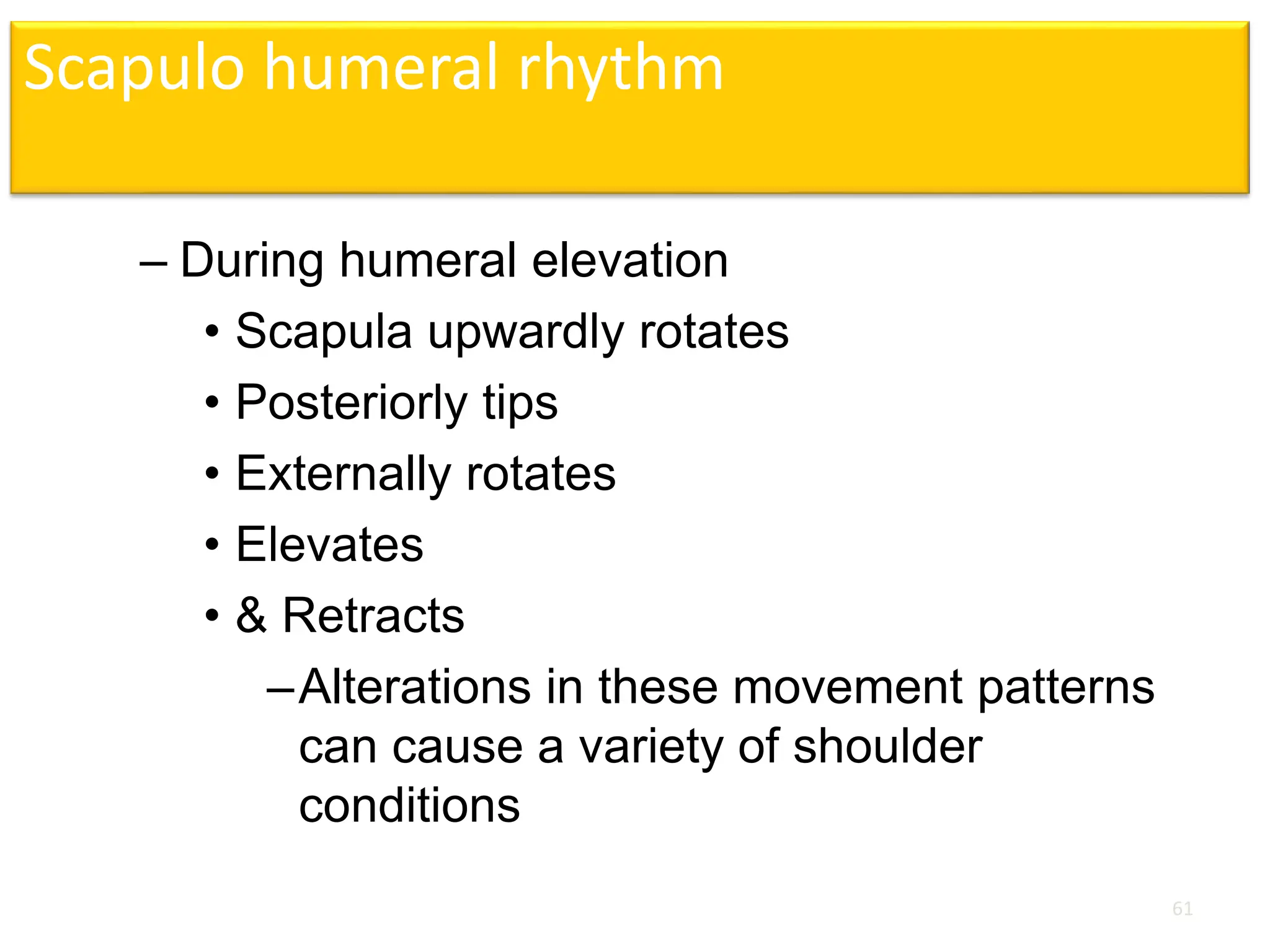 Scapulo humeral rhythm
– During humeral elevation
• Scapula upwardly rotates
• Posteriorly tips
• Externally rotates
• Elevates
• & Retracts
–Alterations in these movement patterns
can cause a variety of shoulder
conditions
61
 