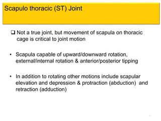 True Protraction biomechanics-of-shoulder-complex-part-1-pptx.pptx