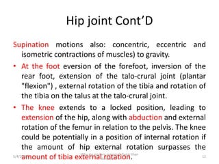 Hip joint Cont’D
Supination motions also: concentric, eccentric and
isometric contractions of muscles) to gravity.
• At the foot eversion of the forefoot, inversion of the
rear foot, extension of the talo-crural joint (plantar
"flexion") , external rotation of the tibia and rotation of
the tibia on the talus at the talo-crural joint.
• The knee extends to a locked position, leading to
extension of the hip, along with abduction and external
rotation of the femur in relation to the pelvis. The knee
could be potentially in a position of internal rotation if
the amount of hip external rotation surpasses the
amount of tibia external rotation.5/4/2018 12
Why are modern mammals faster than
dinosaurs?
 