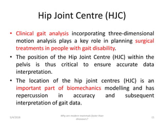 Hip Joint Centre (HJC)
• Clinical gait analysis incorporating three-dimensional
motion analysis plays a key role in planning surgical
treatments in people with gait disability.
• The position of the Hip Joint Centre (HJC) within the
pelvis is thus critical to ensure accurate data
interpretation.
• The location of the hip joint centres (HJC) is an
important part of biomechanics modelling and has
repercussion in accuracy and subsequent
interpretation of gait data.
5/4/2018 15
Why are modern mammals faster than
dinosaurs?
 