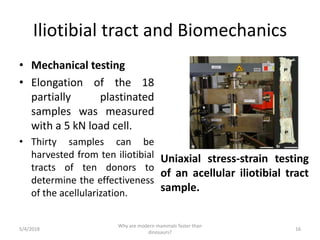 Iliotibial tract and Biomechanics
• Mechanical testing
• Elongation of the 18
partially plastinated
samples was measured
with a 5 kN load cell.
• Thirty samples can be
harvested from ten iliotibial
tracts of ten donors to
determine the effectiveness
of the acellularization.
5/4/2018
Why are modern mammals faster than
dinosaurs?
16
Uniaxial stress-strain testing
of an acellular iliotibial tract
sample.
 