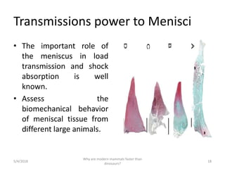 Transmissions power to Menisci
• The important role of
the meniscus in load
transmission and shock
absorption is well
known.
• Assess the
biomechanical behavior
of meniscal tissue from
different large animals.
5/4/2018
Why are modern mammals faster than
dinosaurs?
18
 
