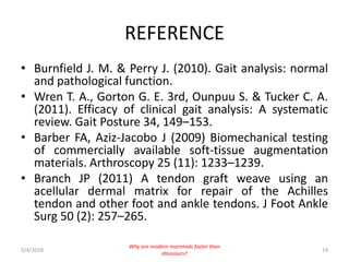 REFERENCE
• Burnfield J. M. & Perry J. (2010). Gait analysis: normal
and pathological function.
• Wren T. A., Gorton G. E. 3rd, Ounpuu S. & Tucker C. A.
(2011). Efficacy of clinical gait analysis: A systematic
review. Gait Posture 34, 149–153.
• Barber FA, Aziz-Jacobo J (2009) Biomechanical testing
of commercially available soft-tissue augmentation
materials. Arthroscopy 25 (11): 1233–1239.
• Branch JP (2011) A tendon graft weave using an
acellular dermal matrix for repair of the Achilles
tendon and other foot and ankle tendons. J Foot Ankle
Surg 50 (2): 257–265.
5/4/2018
Why are modern mammals faster than
dinosaurs?
19
 