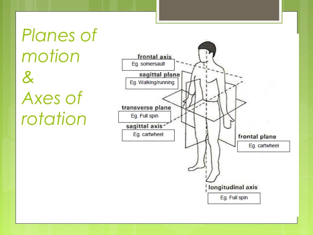 Biomechanics 1 (levels and planes & axes)