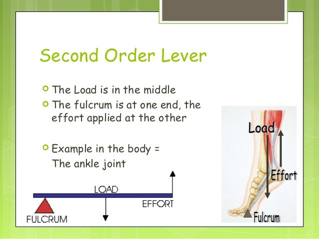 Biomechanics 1 (levels and planes & axes) examples of motion diagrams 