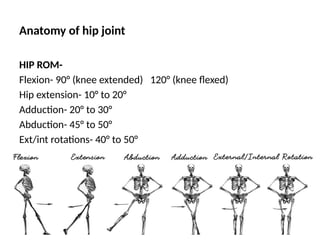 BIOMECHANICS%20HIP%20(1) orthopedics.pptx