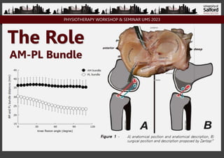 PHYSIOTHERAPY WORKSHOP & SEMINAR UMS 2023
The Role
AM-PL Bundle
 