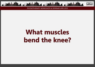 PHYSIOTHERAPY WORKSHOP & SEMINAR UMS 2023
What muscles
bend the knee?
 